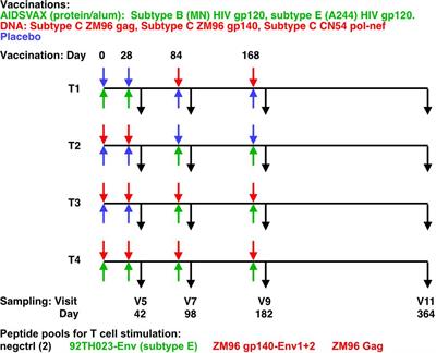 SWIFT clustering analysis of intracellular cytokine staining flow cytometry data of the HVTN 105 vaccine trial reveals high frequencies of HIV-specific CD4+ T cell responses and associations with humoral responses